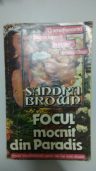 Sandra Brown - Focul mocnit din paradis
